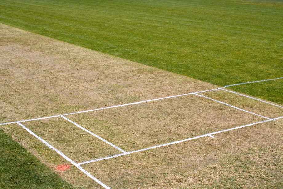 Sheth-Avante-Amenities-Cricket-Pitch